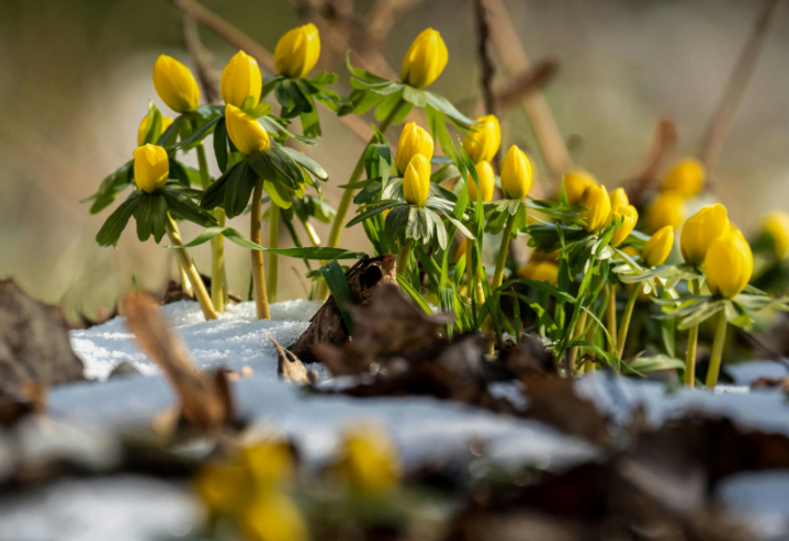 Programajánló 2026. február