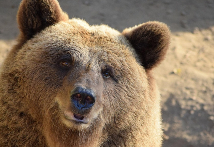 2026. 6. heti Hangolódjunk - Február 2.