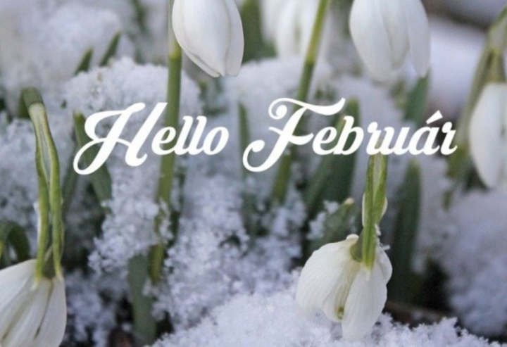 2026. 6. heti Nyereményjáték - Február