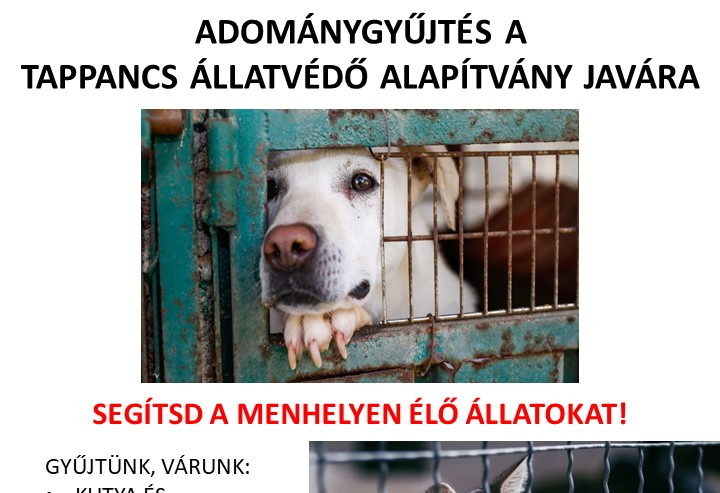 Adománygyűjtés