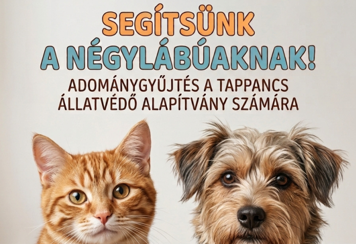 Segítsünk a négylábúaknak! - 2026.