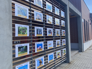 Állatok Világnapja - 2025.