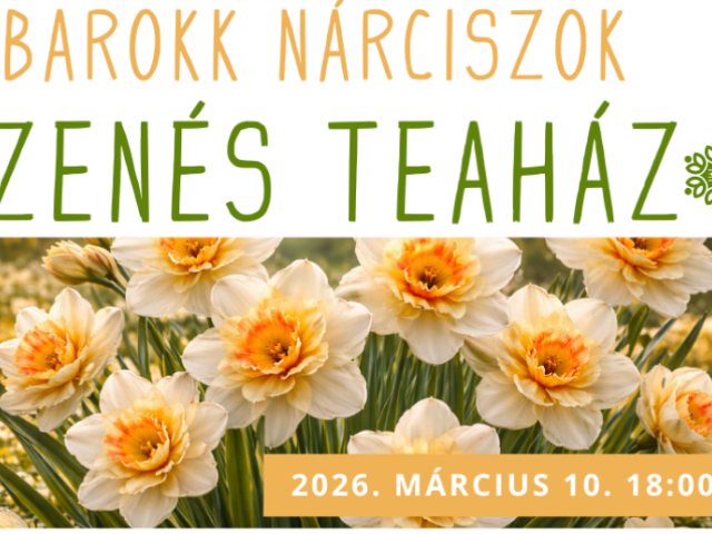 Barokk Nárciszok - ZENÉS TEAHÁZ