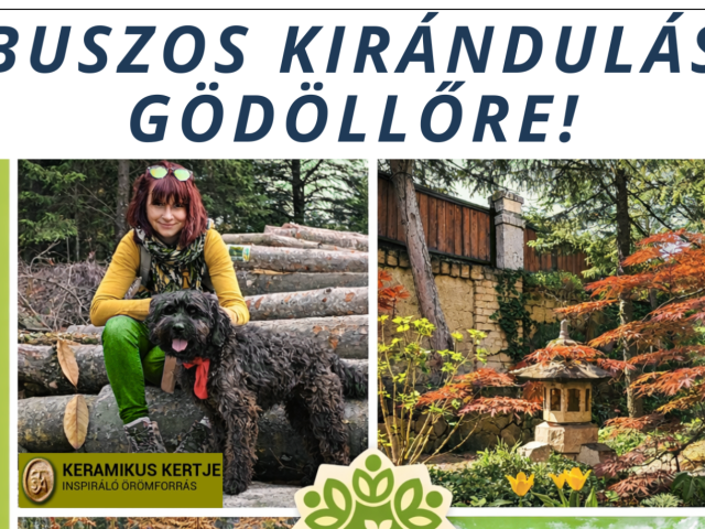 Keramikus kertje - buszos kirándulás Gödöllőre