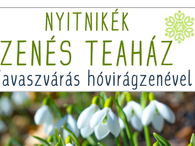 Nyitnikék Zenés Teaház