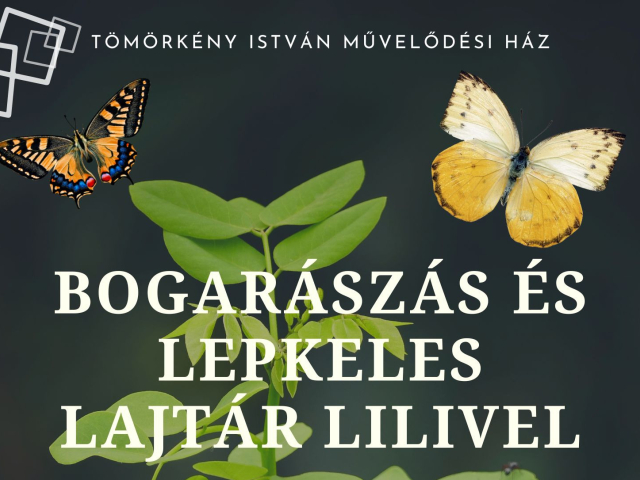 Bogarászás és lepkeles Lajtár Lilivel - 2026.