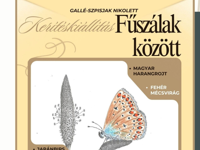 Fűszálak között kerítéskiállítás