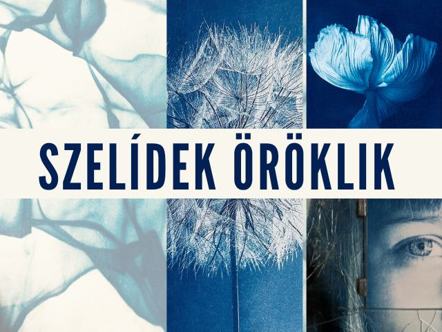 Szelídek öröklik - kiállítás